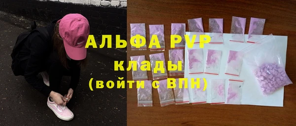 ГАЛЛЮЦИНОГЕННЫЕ ГРИБЫ Лагань