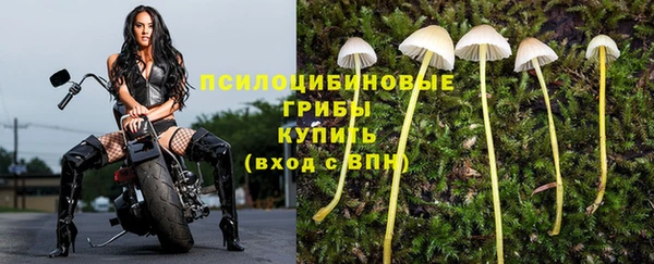 тгк Баксан