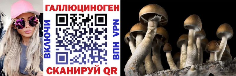 MEGA tor  купить наркотик  Каспийск  Галлюциногенные грибы мухоморы 