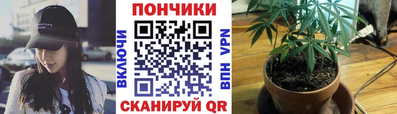 KRAKEN вход  Каспийск  Каннабис индика 